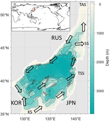 Turnover Time of the East Sea (Sea of Japan) Meridional Overturning Circulation